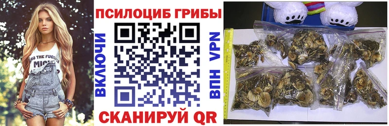 Галлюциногенные грибы Cubensis  Красный Холм 